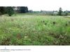 10735 E Grand River Ave photo